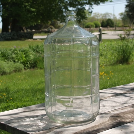 Picture of 6 Gallon Glass Carboy