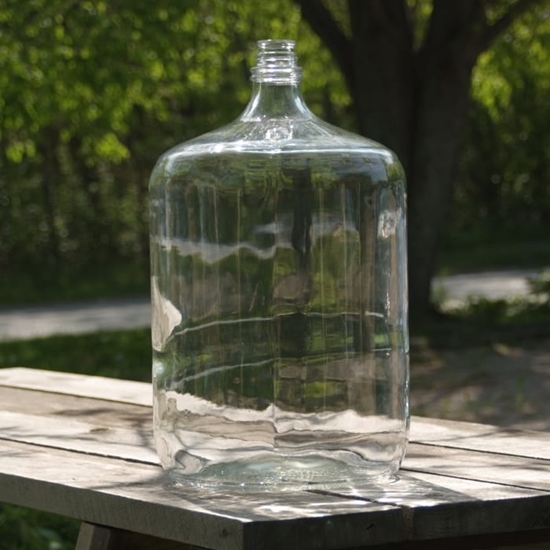 Picture of 6.5 Gallon Glass Carboy
