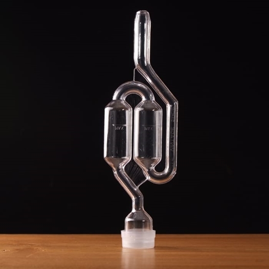 Picture of Double Bubble Airlock