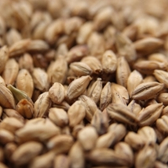 Picture of Weyermann® Brewing Malt (Type Cologne)