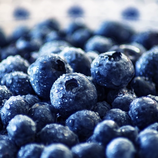 blueberry fruit powder  kg