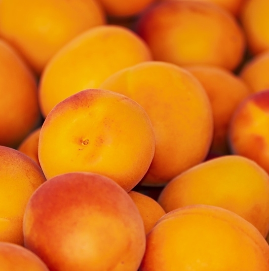 kerry natural apricot flavoring gal