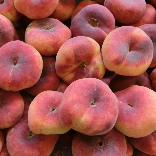 kerry natural peach flavoring gal