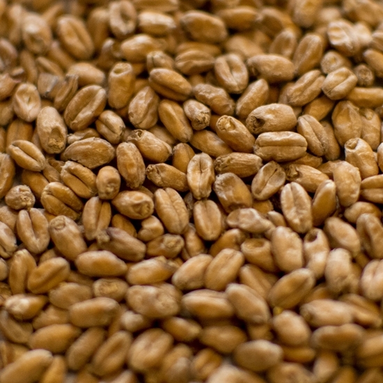 Picture of Dingemans Wheat Malt