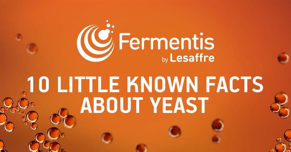 Fermentis Facts about Yeast updated