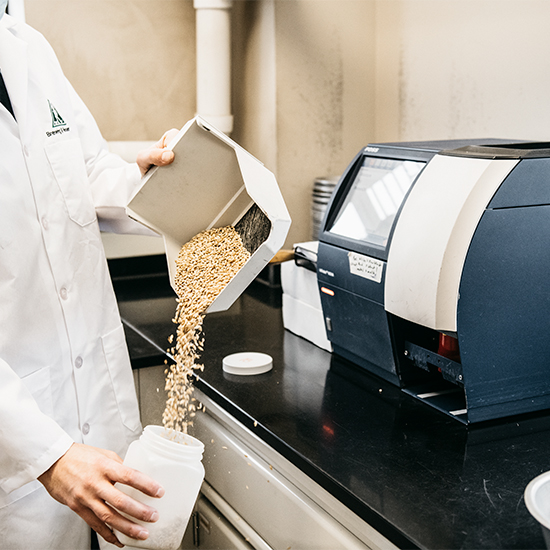 Basic Barley Wheat Analysis Package