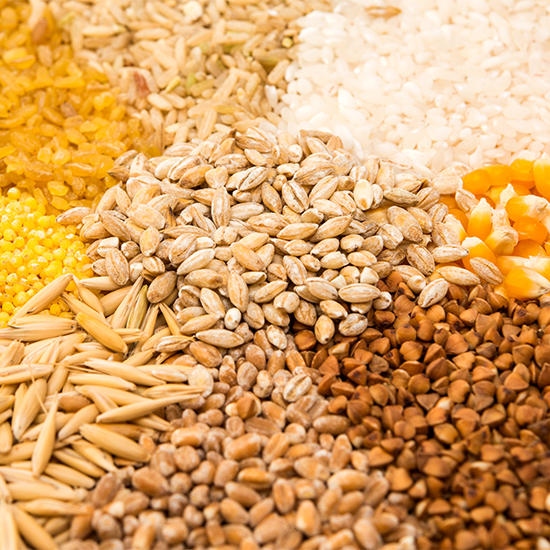 Specialty Grains Analysis