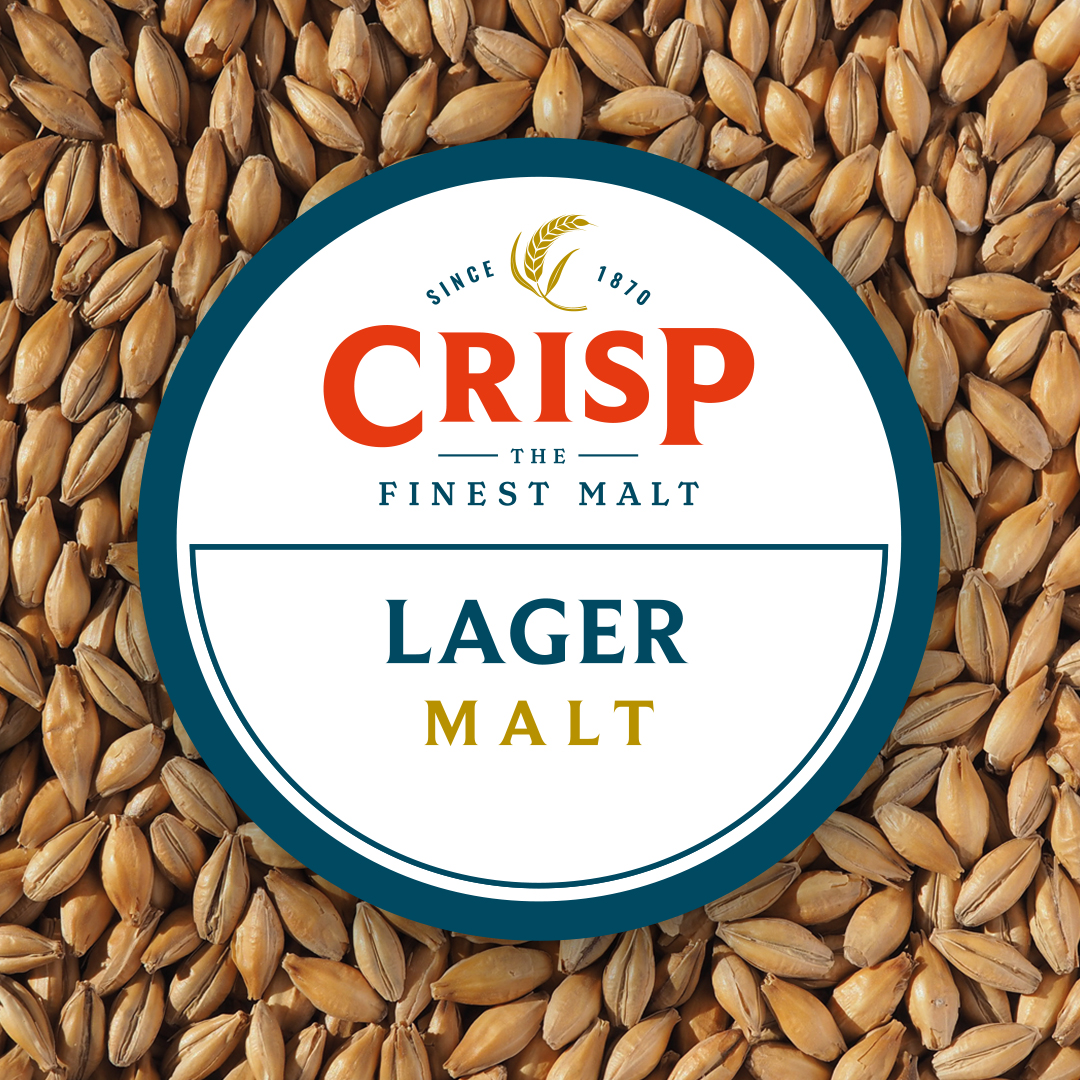 Lager Malt | British two row barley grains malted by Crisp Malt.