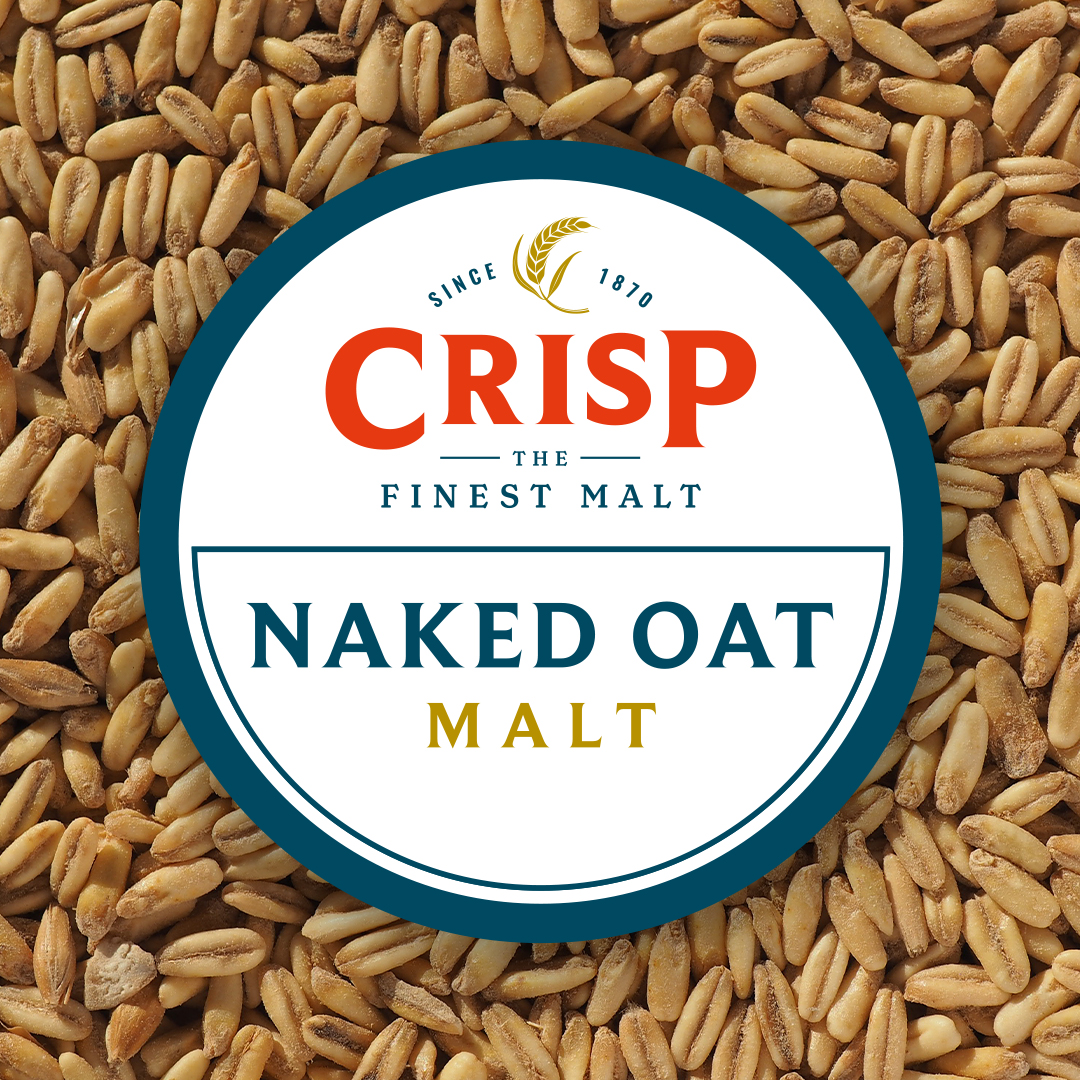 Naked Oat Malt | A brewers speciality malt for hazy ales and beers; grains malted by Crisp Malt.