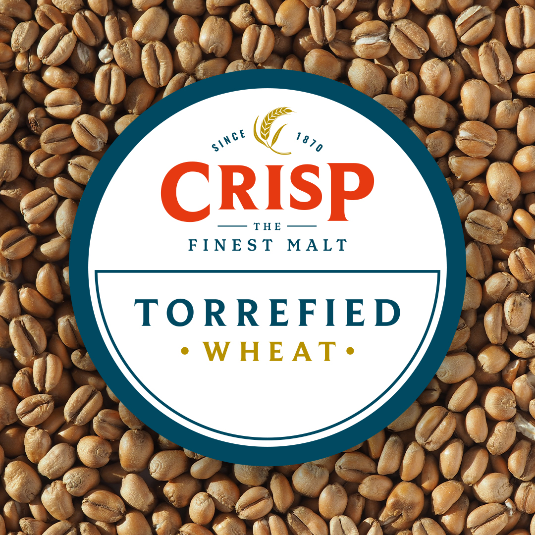 Torrefied Wheat | A brewers speciality malt for all beers to improve mouthfeel and head formation, British grains from Crisp Malt.