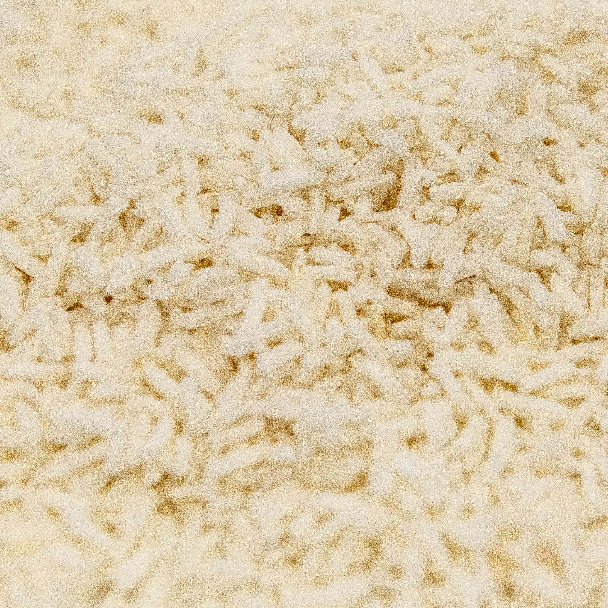 Picture of instant jasmine rice grains