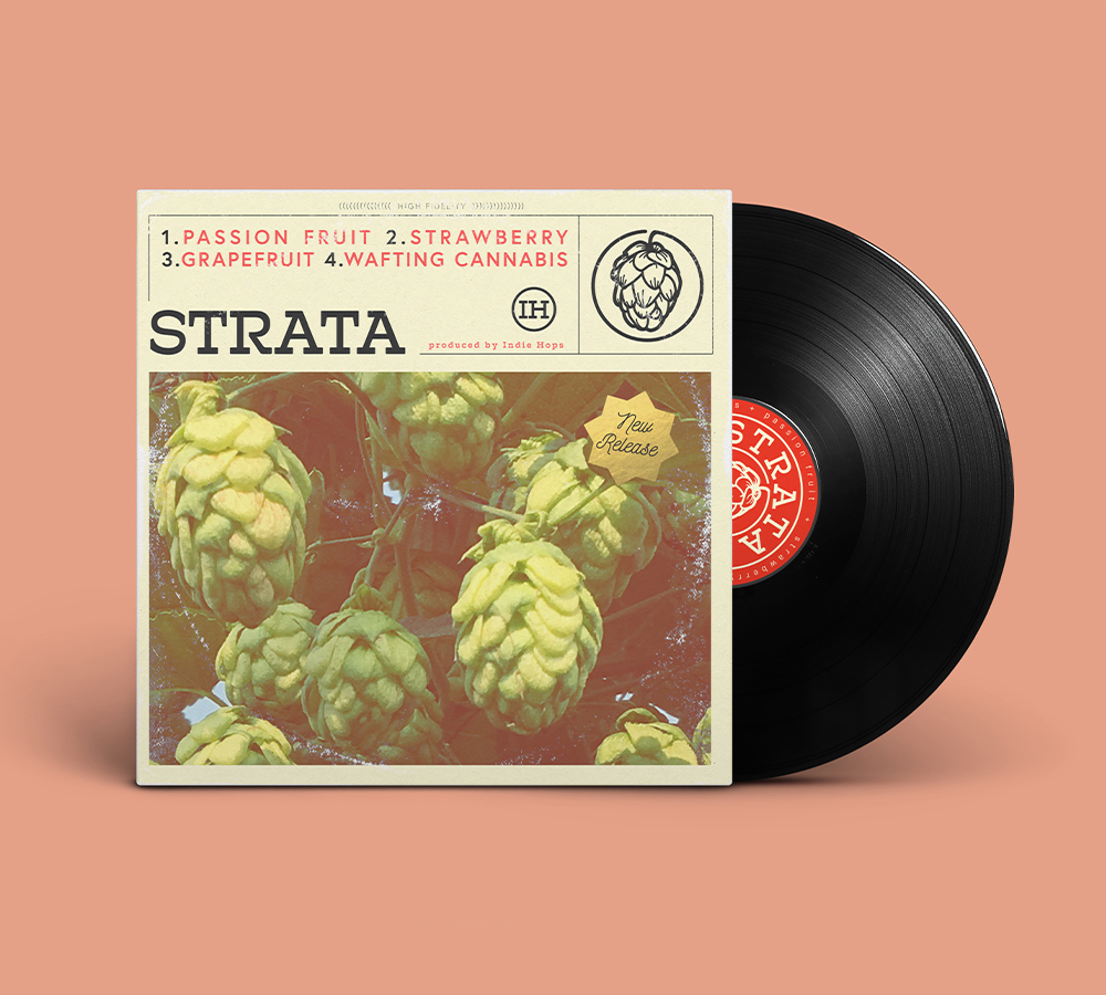 vinyl album with Strata hops on the cover