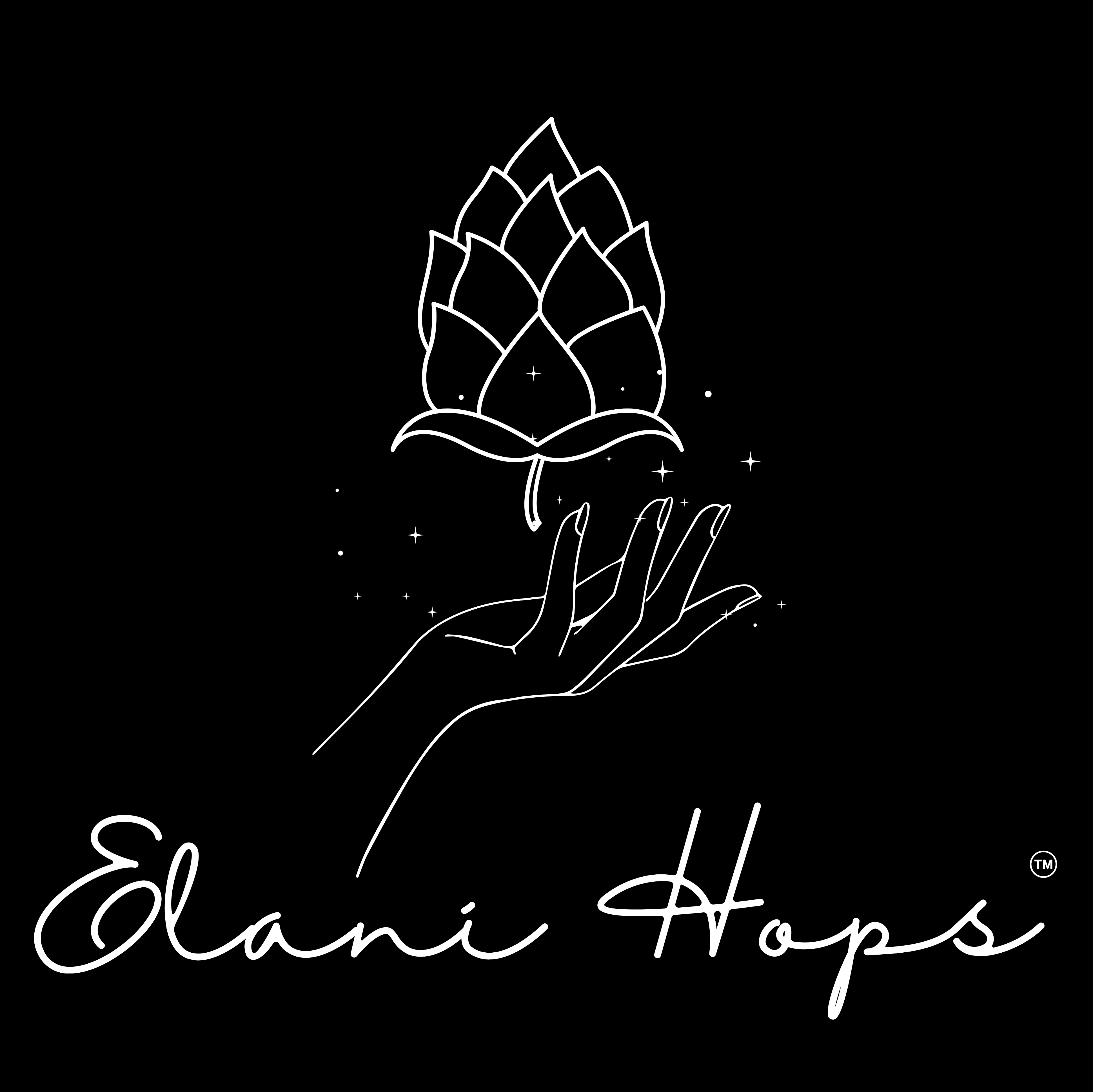 Black & white illustration of a hand holding a hop cone
